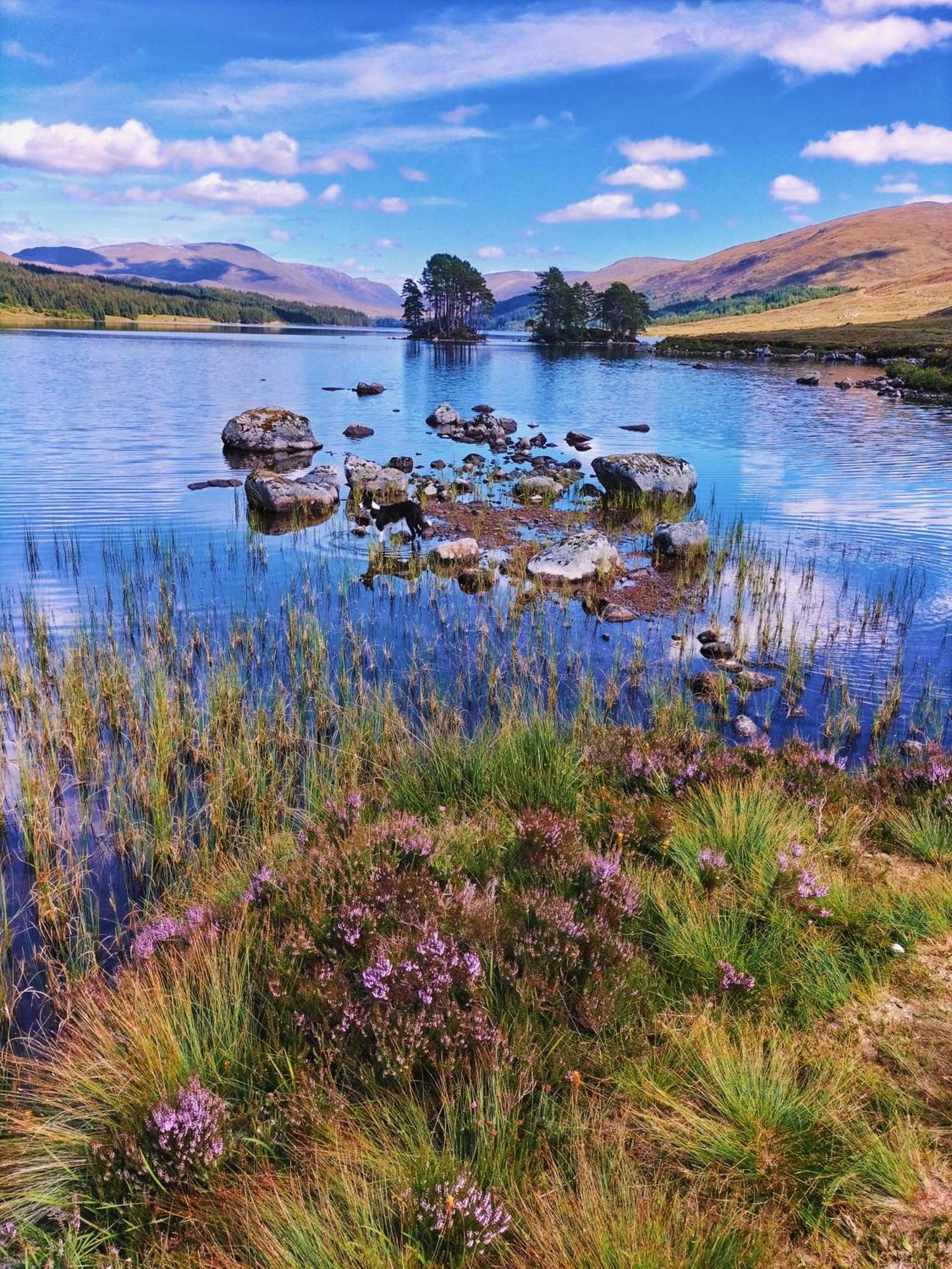 Glenfinnan Retreats Exterior foto